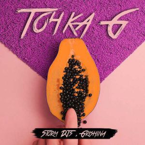 Storm DJs & Grishina - Точка G