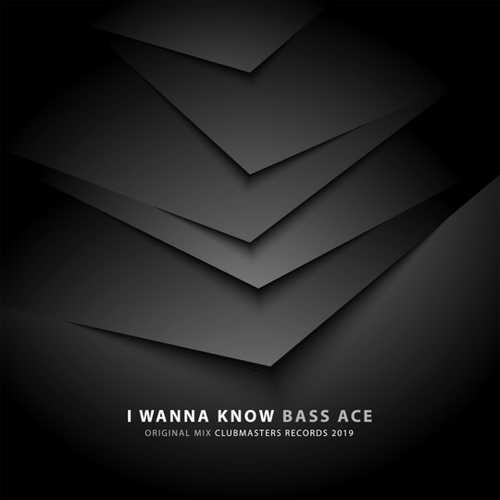 Bass Ace - I Wanna Know (Original Mix)