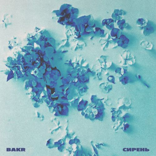 Bakr - Сирень