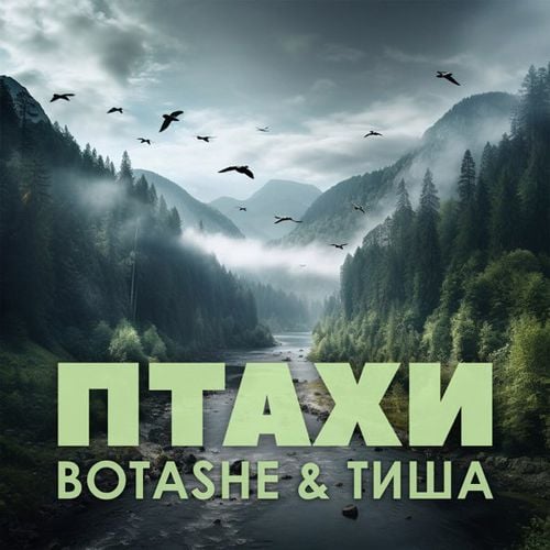 Botashe - Птахи (feat. Тиша)