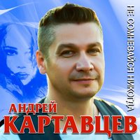 Андрей Картавцев - Белым снегом