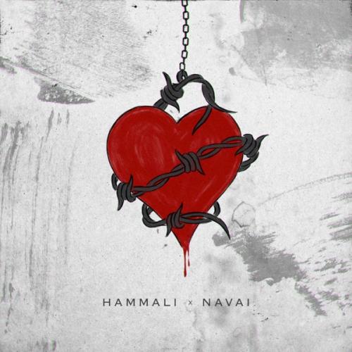 HammAli, Navai - Западня