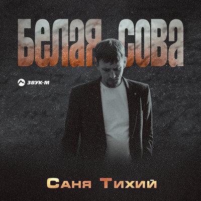 Саня Тихий - Белая сова