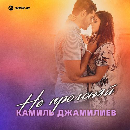 Камиль Джамилиев - Не прогоняй