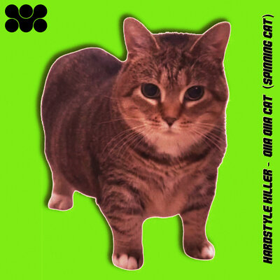 Hardstyle Killer - OIIA OIIA CAT (SPINNING CAT) Hardstyle Killer - OIIA OIIA CAT (SPINNING CAT)