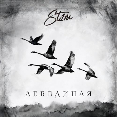 ST1M - Перекрёстки