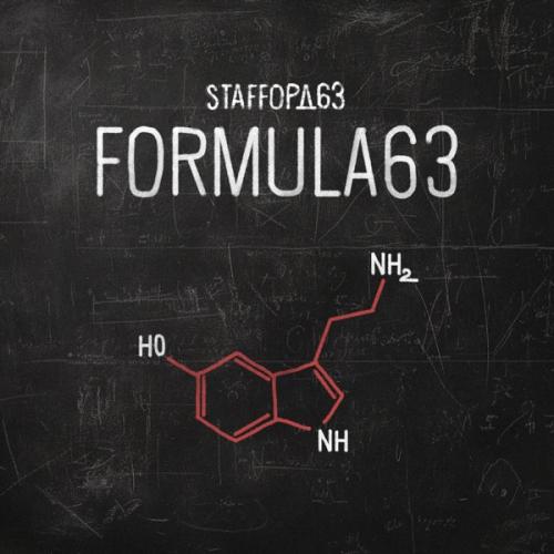 StaFFорд63 - Чайки и гитара StaFFорд63 - Чайки и гитара