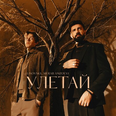 LISOVSKY & Merab Amzoevi - Улетай